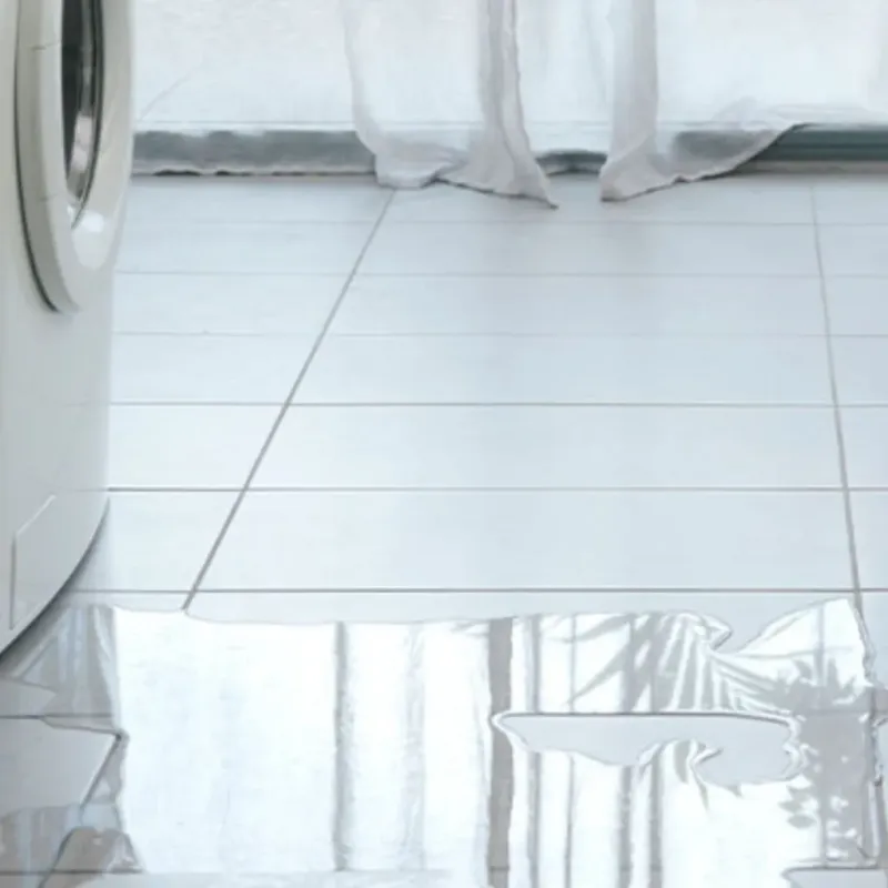 Appliance Leak Cleanup in Laurium, MI