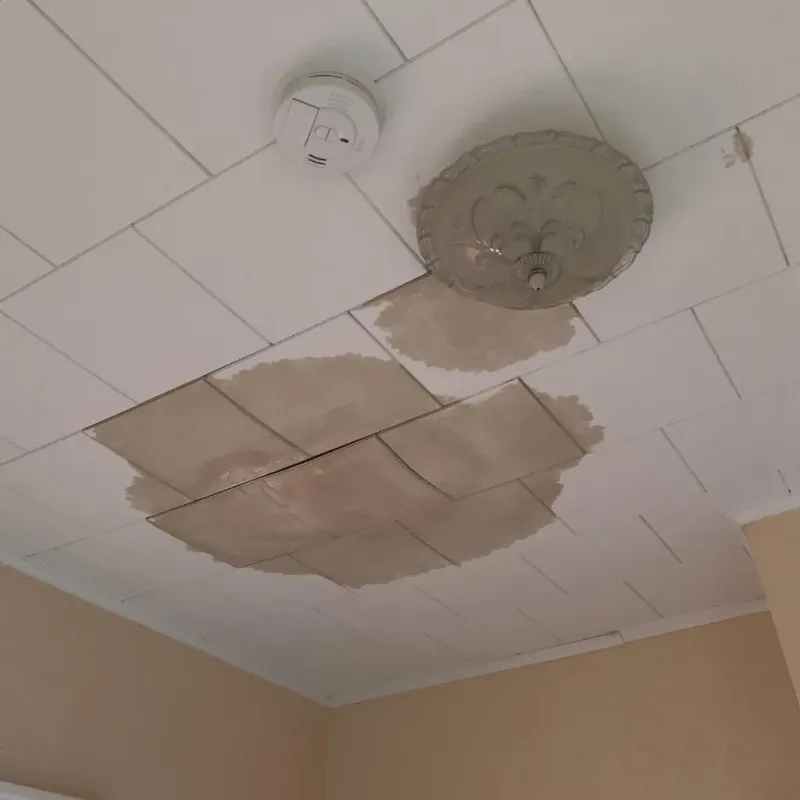 Ceiling Water Damage Repair in Laurium, MI