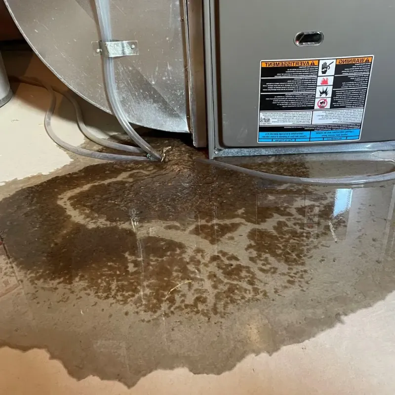 Pipe Burst and Leak Restoration in Laurium, MI